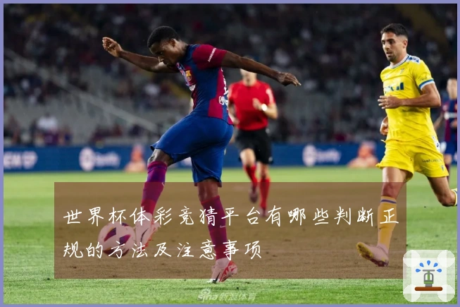 世界杯体彩竞猜平台有哪些判断正规的方法及注意事项